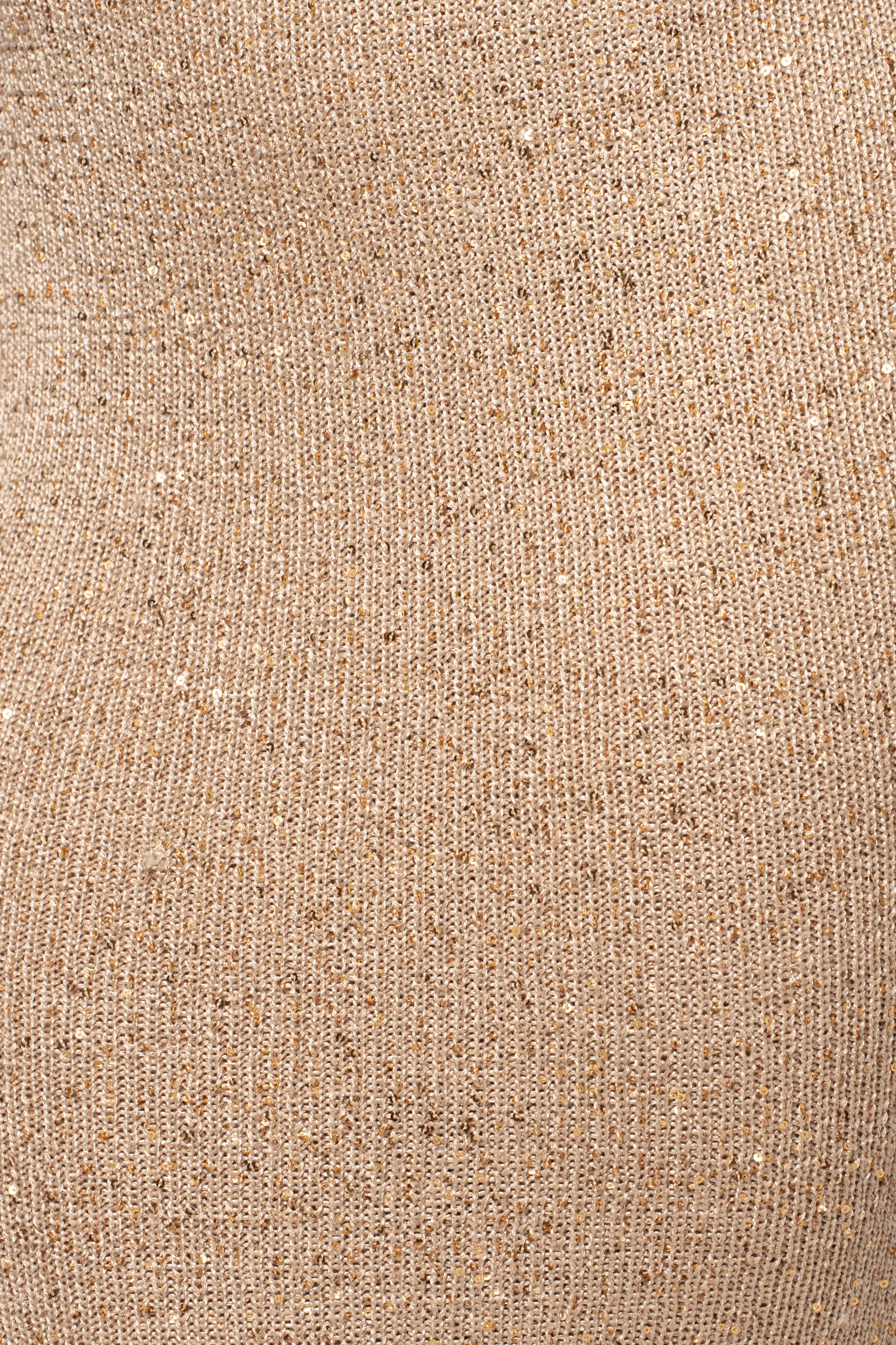Beige Palace Sequin Skirt Set