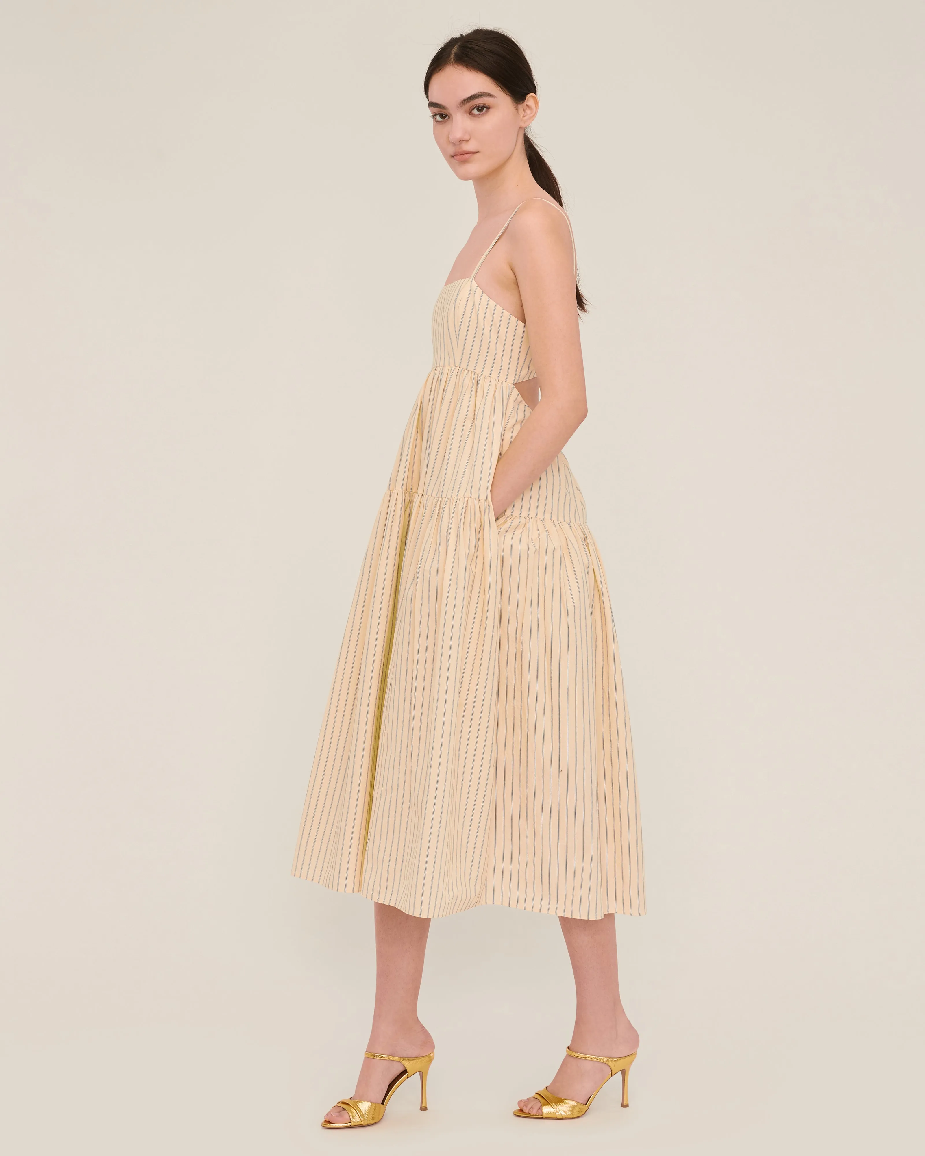 Eva Trapeze Midi Dress in Canary Edie Stripe