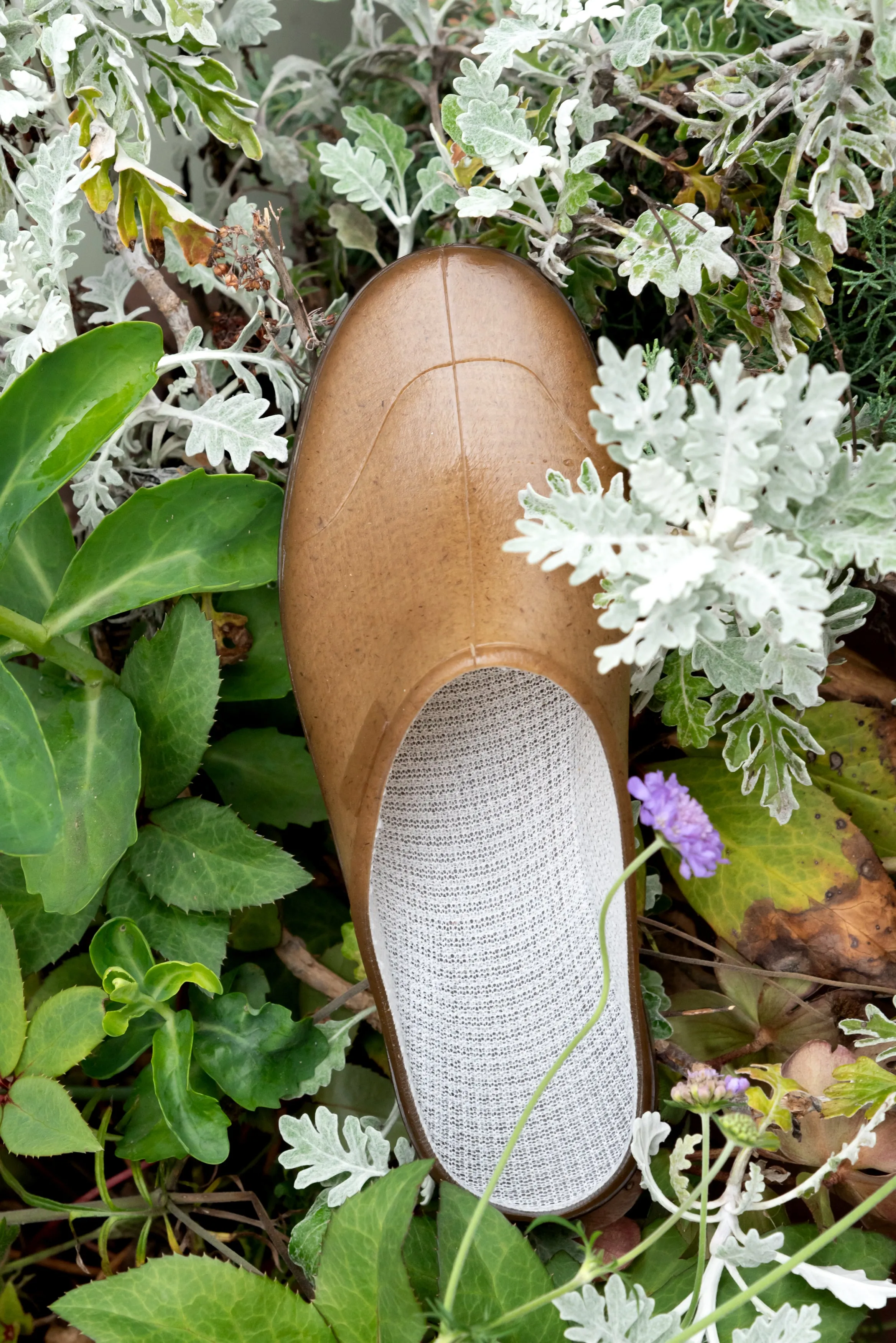 Humeau-Beaupreau Opana Mule